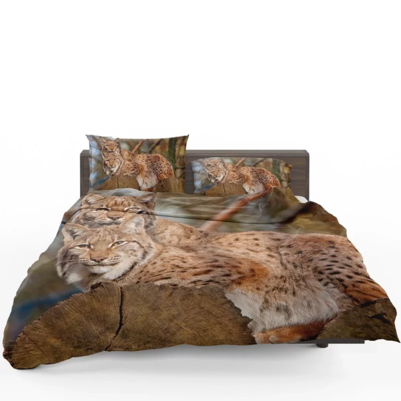 Lynx Couple Snuggled Wilderness Love Bedding Set