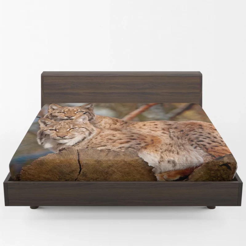 Lynx Couple Snuggled Wilderness Love Fitted Sheet