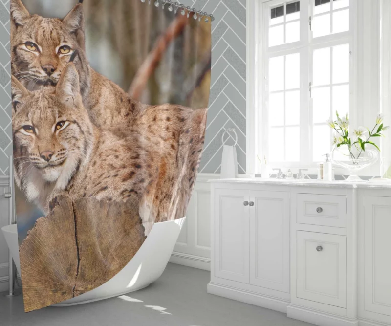 Lynx Couple Snuggled Wilderness Love Shower Curtain 1