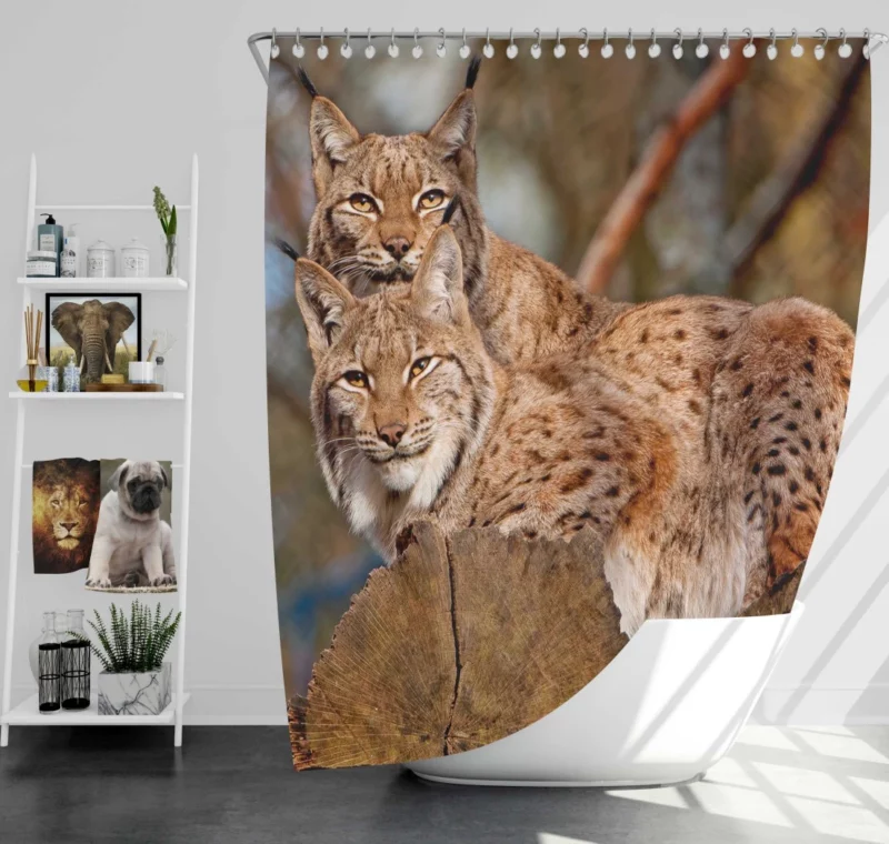 Lynx Couple Snuggled Wilderness Love Shower Curtain