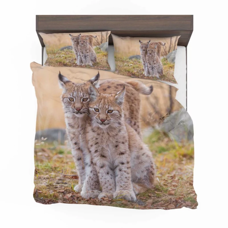 Lynx Cub Baby Innocence Wilderness Wonder Bedding Set 1