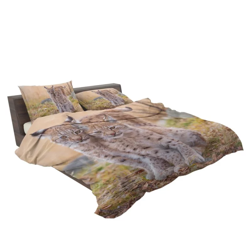 Lynx Cub Baby Innocence Wilderness Wonder Bedding Set 2