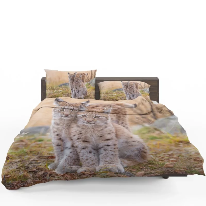 Lynx Cub Baby Innocence Wilderness Wonder Bedding Set