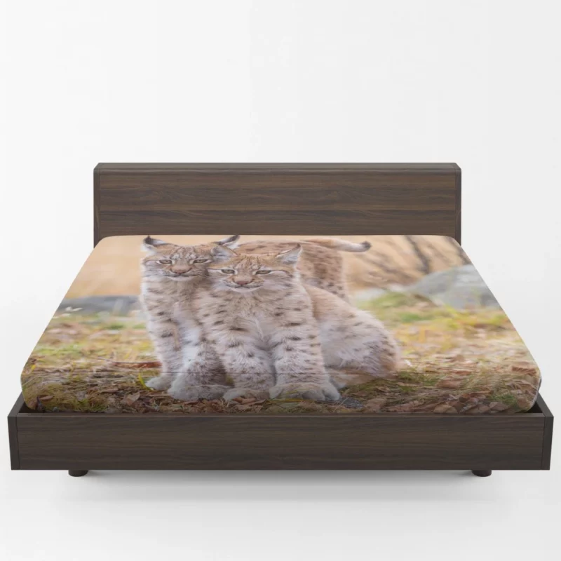 Lynx Cub Baby Innocence Wilderness Wonder Fitted Sheet