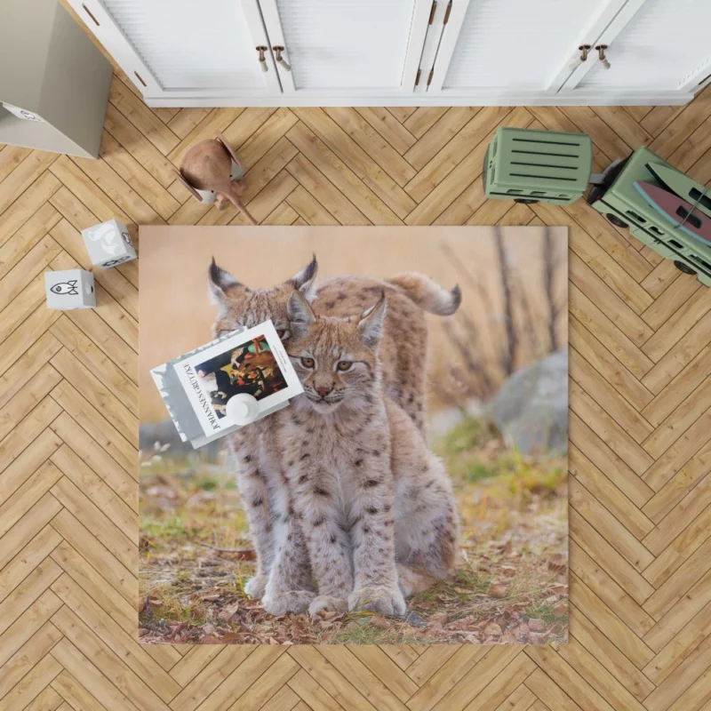 Lynx Cub Baby Innocence Wilderness Wonder Rug