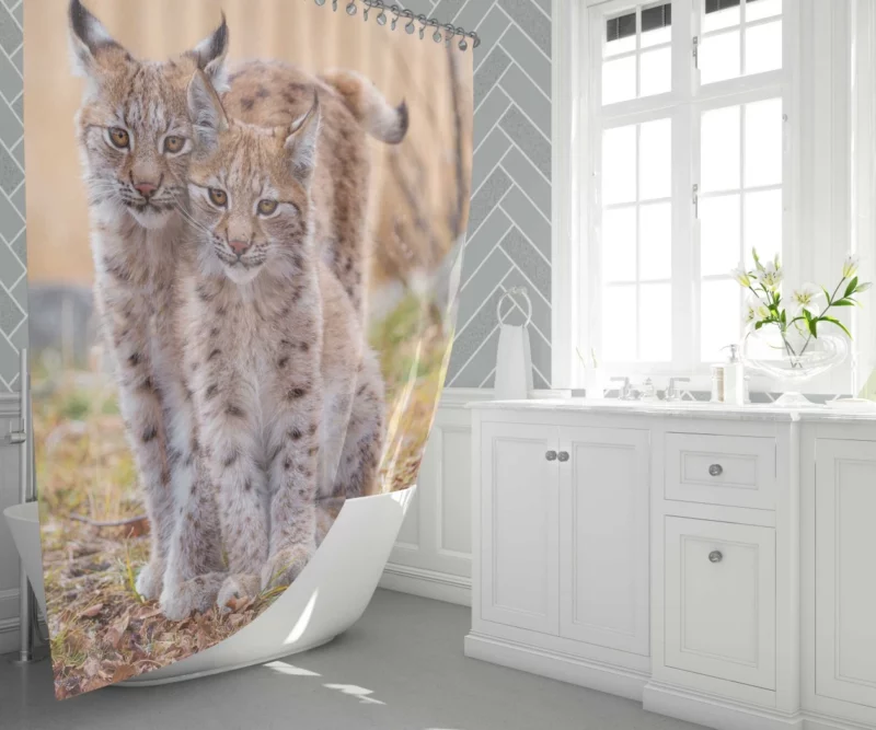 Lynx Cub Baby Innocence Wilderness Wonder Shower Curtain 1