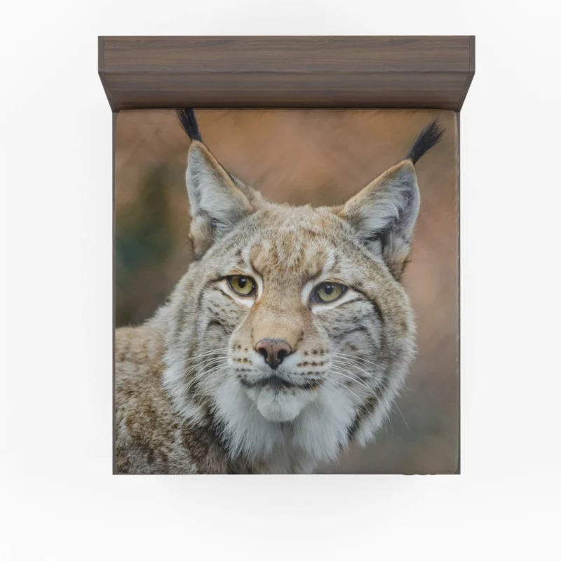 Lynx Cub Bokeh World Feline Curiosity Fitted Sheet 1