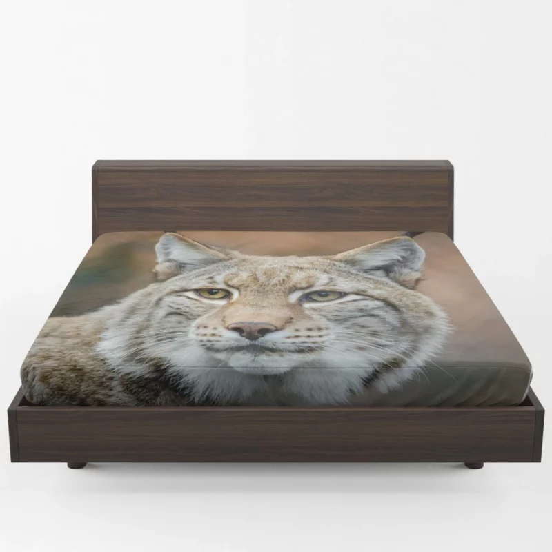 Lynx Cub Bokeh World Feline Curiosity Fitted Sheet