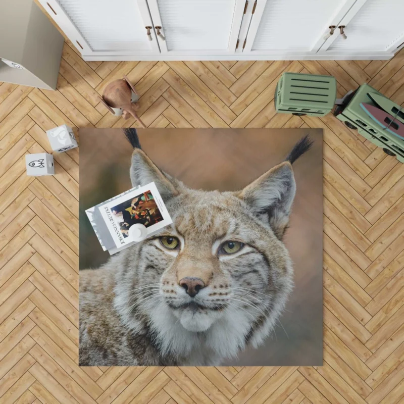 Lynx Cub Bokeh World Feline Curiosity Rug