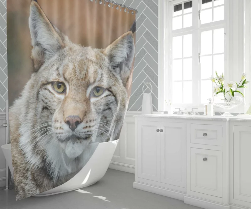 Lynx Cub Bokeh World Feline Curiosity Shower Curtain 1