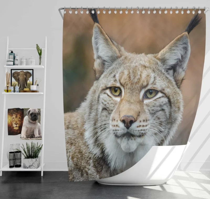 Lynx Cub Bokeh World Feline Curiosity Shower Curtain