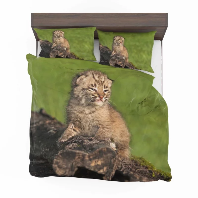 Lynx Cub Enigmatic Gaze Baby Wonder Bedding Set 1