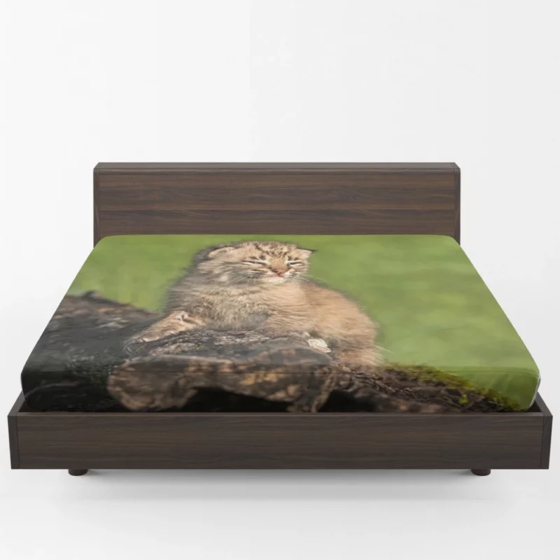 Lynx Cub Enigmatic Gaze Baby Wonder Fitted Sheet