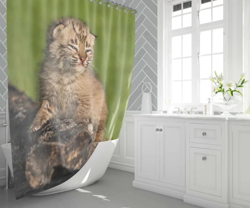 Lynx Cub Enigmatic Gaze Baby Wonder Shower Curtain 1