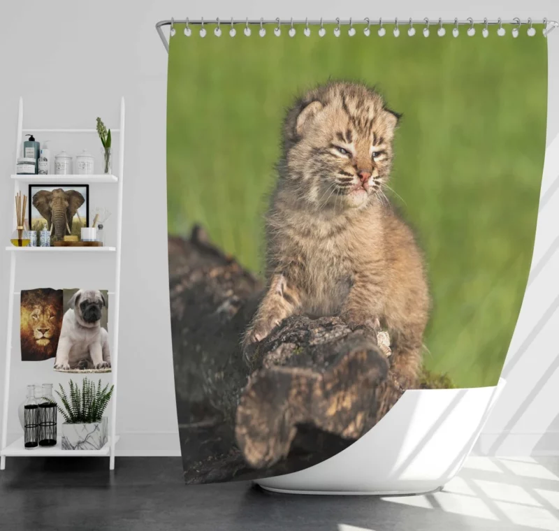 Lynx Cub Enigmatic Gaze Baby Wonder Shower Curtain