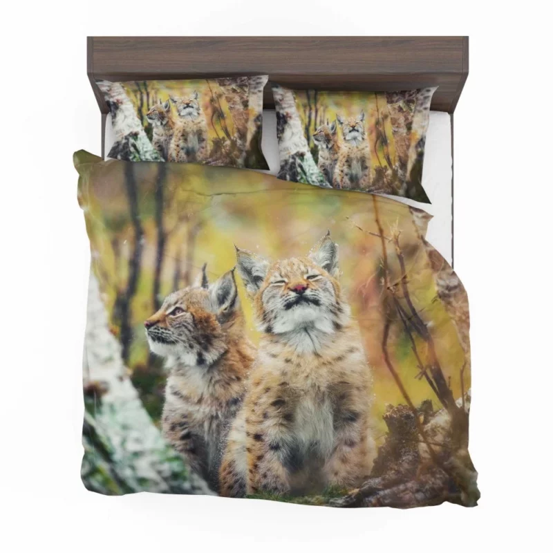 Lynx Cub Playful Gaze Feline Curiosity Bedding Set 1