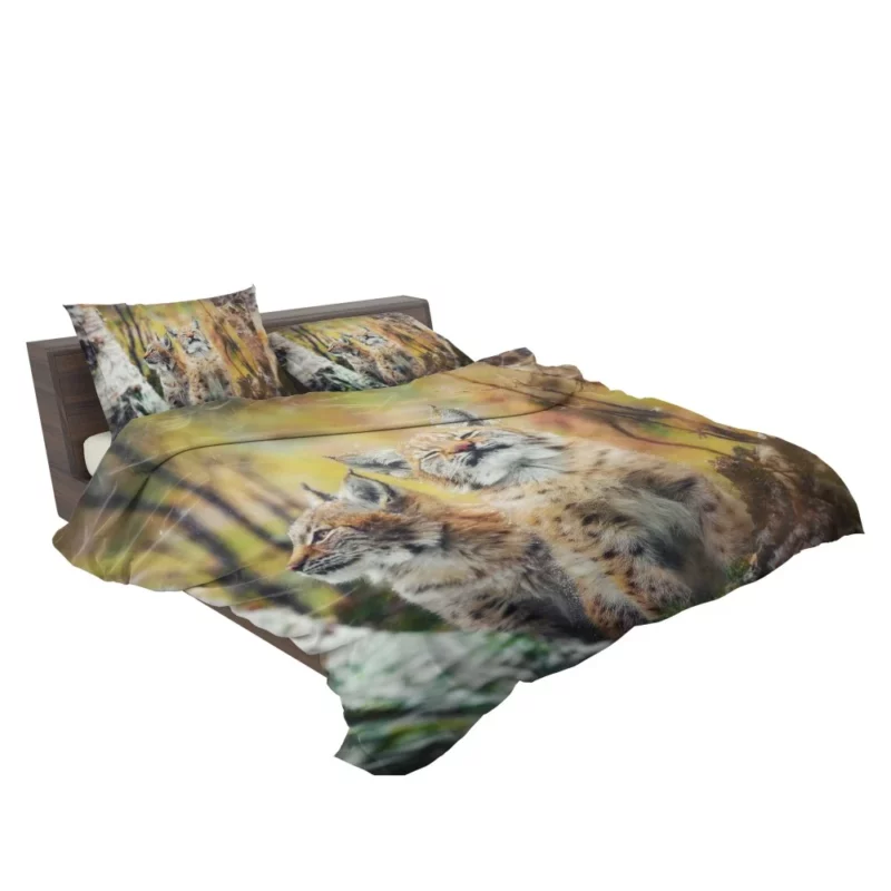 Lynx Cub Playful Gaze Feline Curiosity Bedding Set 2