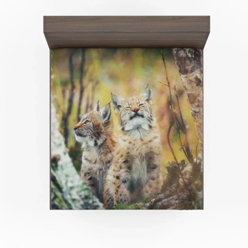 Lynx Cub Playful Gaze Feline Curiosity Fitted Sheet 1