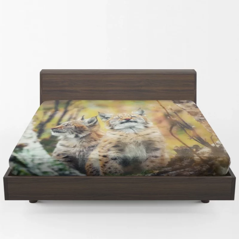 Lynx Cub Playful Gaze Feline Curiosity Fitted Sheet