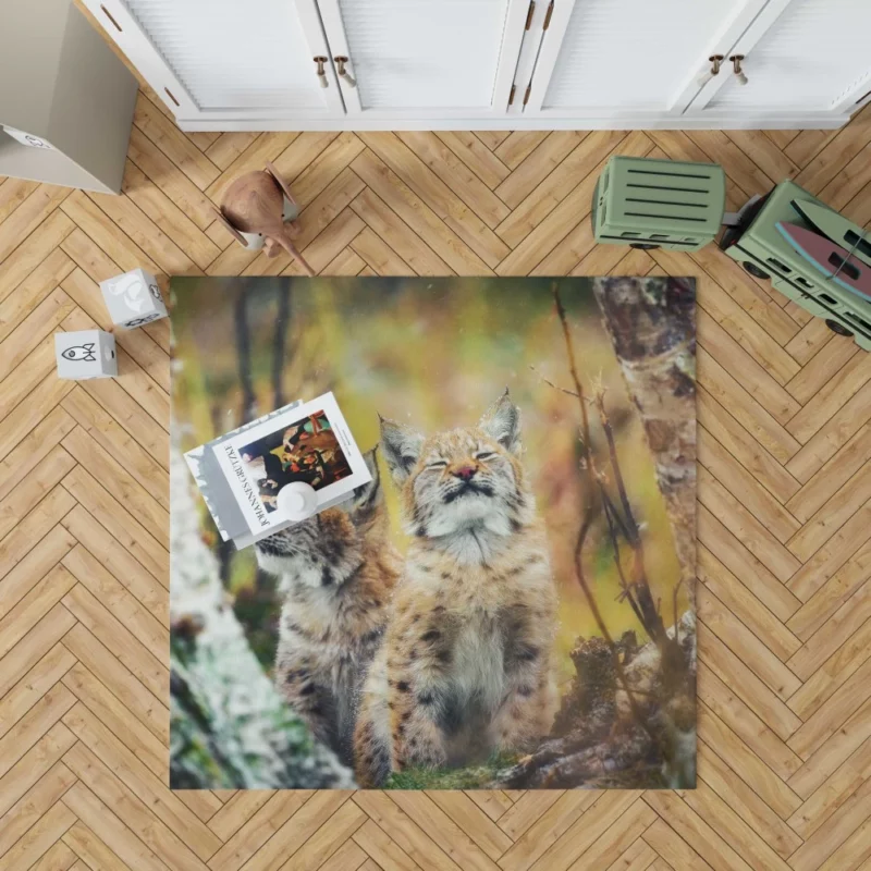 Lynx Cub Playful Gaze Feline Curiosity Rug