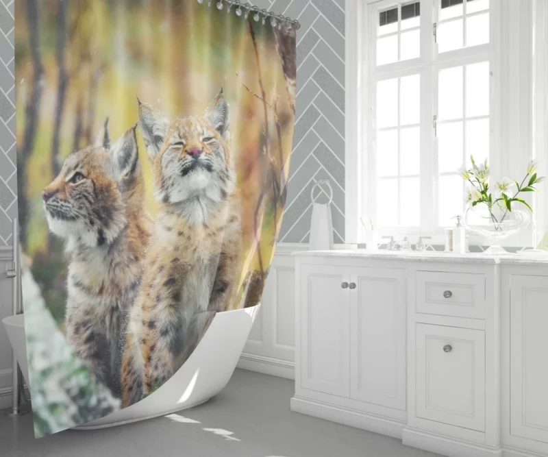 Lynx Cub Playful Gaze Feline Curiosity Shower Curtain 1