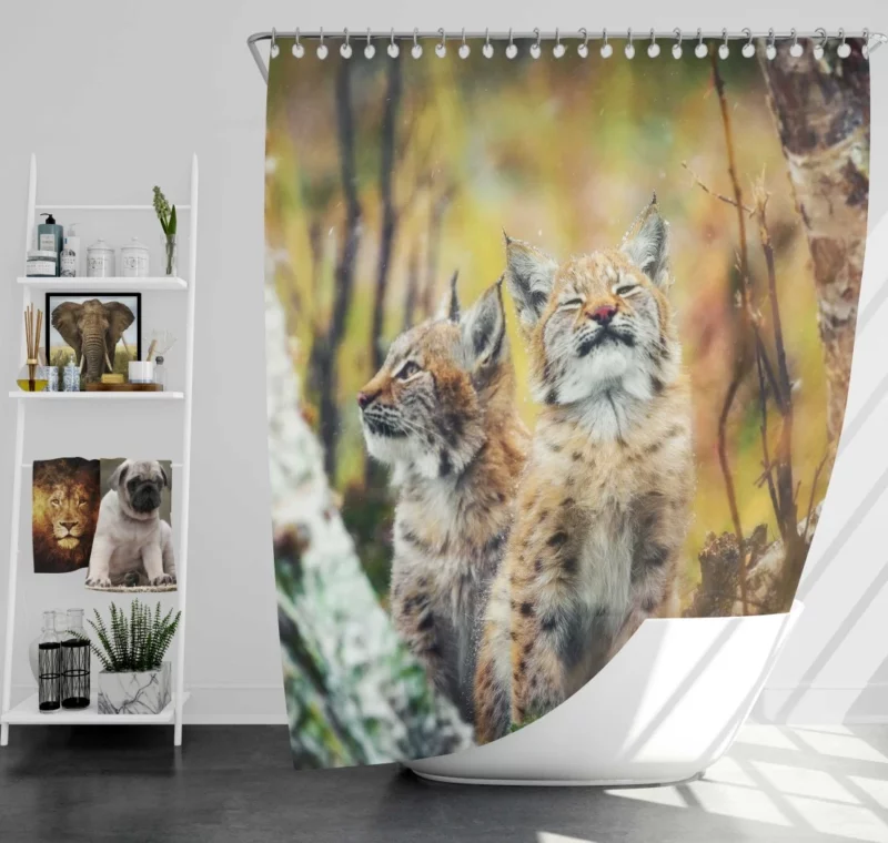 Lynx Cub Playful Gaze Feline Curiosity Shower Curtain