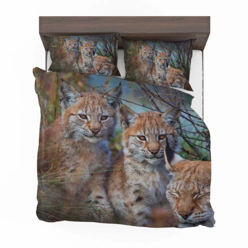 Lynx Cub Playful Innocence Bedding Set 1