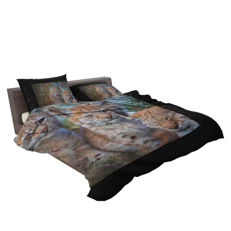 Lynx Cub Playful Innocence Bedding Set 2