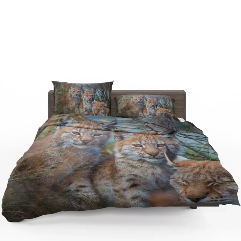 Lynx Cub Playful Innocence Bedding Set