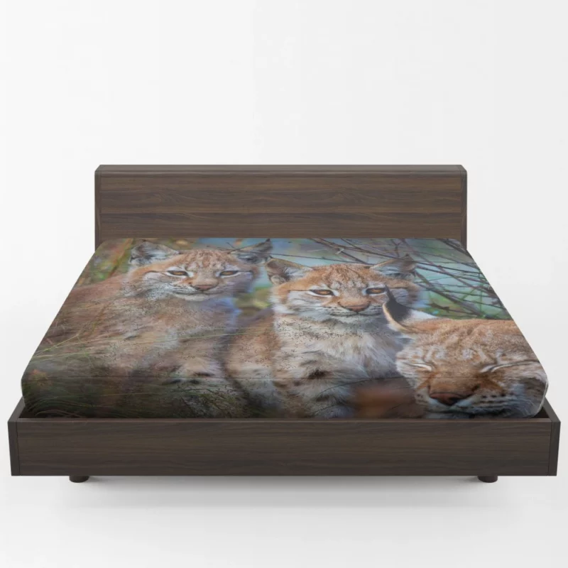 Lynx Cub Playful Innocence Fitted Sheet