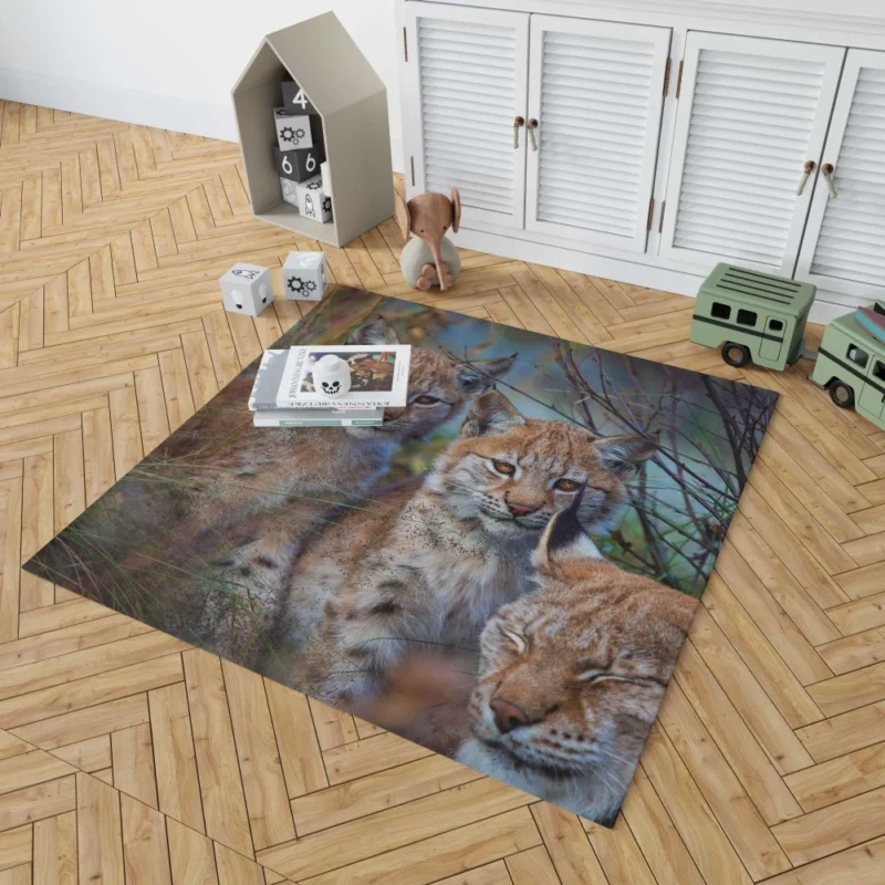 Lynx Cub Playful Innocence Rug 1