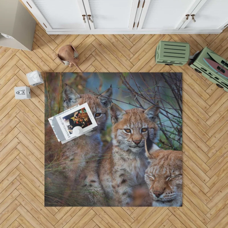 Lynx Cub Playful Innocence Rug