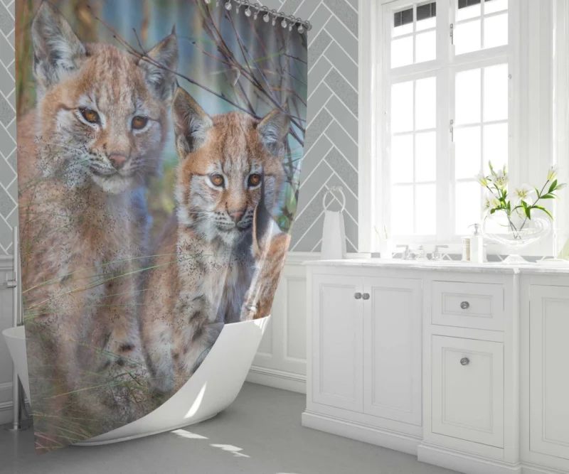 Lynx Cub Playful Innocence Shower Curtain 1