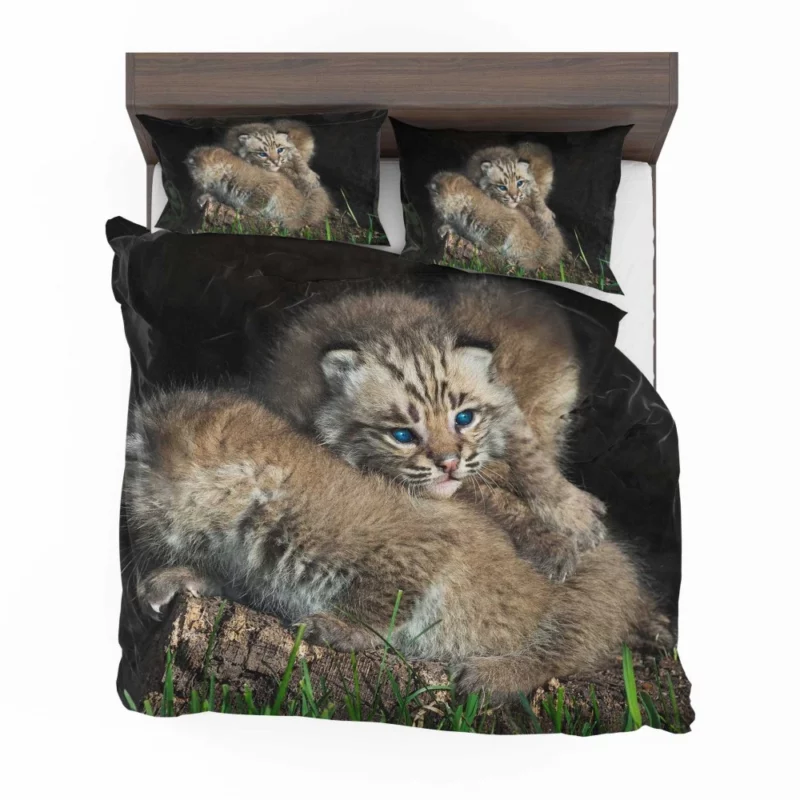 Lynx Cubs Playful Innocence Bedding Set 1