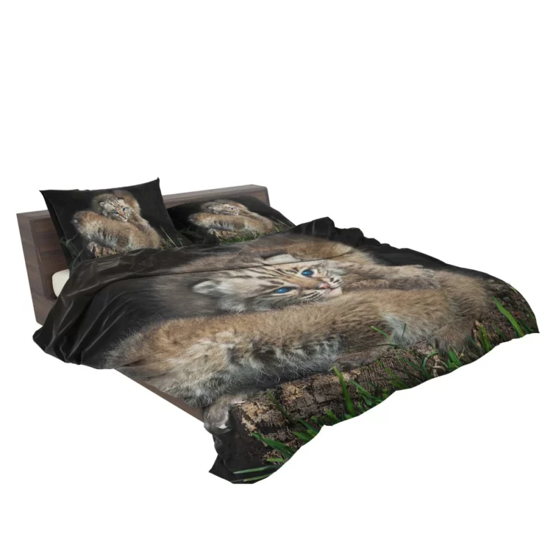 Lynx Cubs Playful Innocence Bedding Set 2