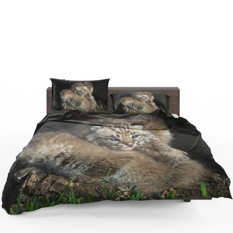 Lynx Cubs Playful Innocence Bedding Set