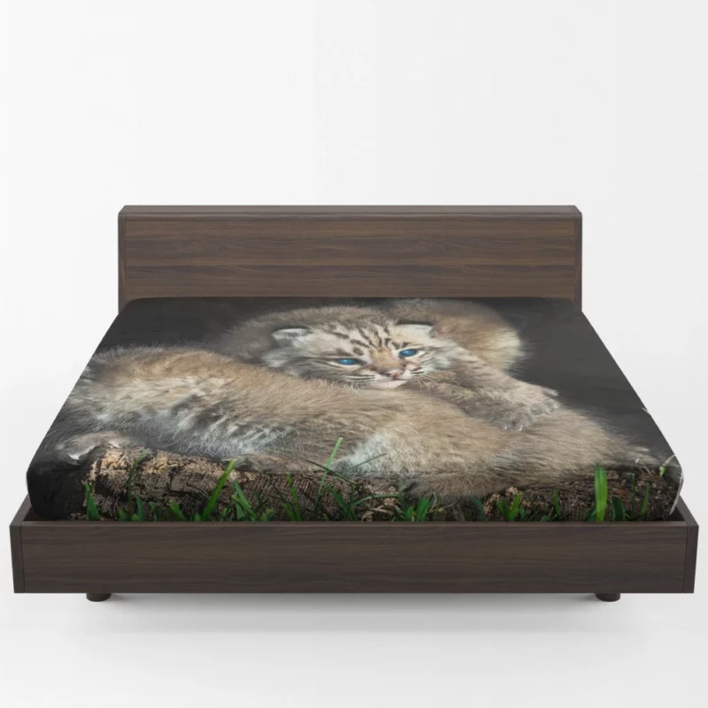 Lynx Cubs Playful Innocence Fitted Sheet