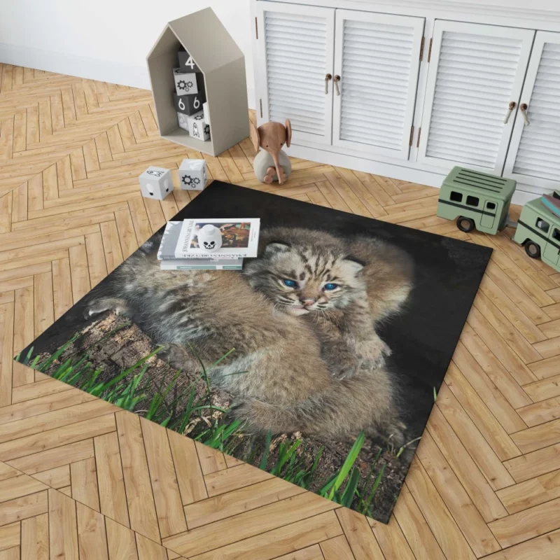 Lynx Cubs Playful Innocence Rug 1