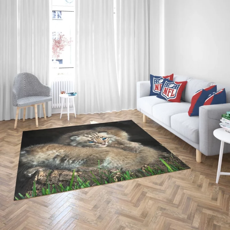 Lynx Cubs Playful Innocence Rug 2