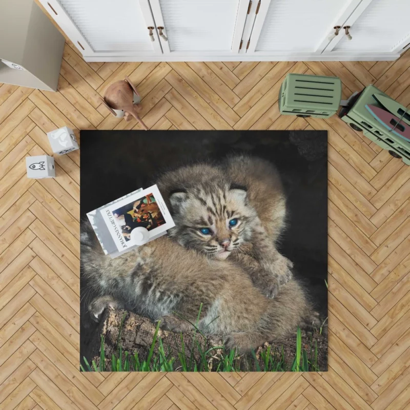 Lynx Cubs Playful Innocence Rug