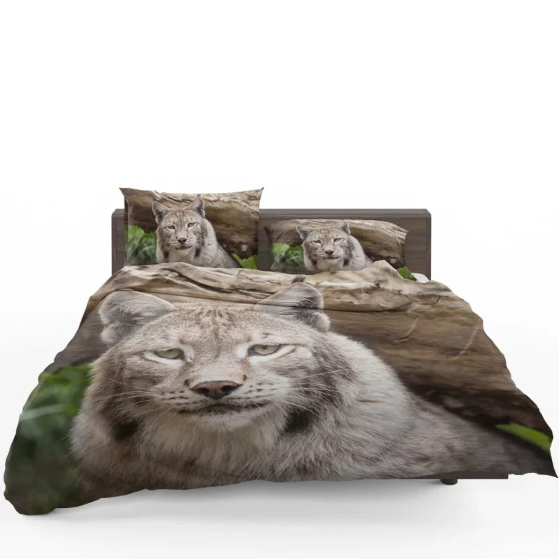 Lynx Enigmatic Beauty Wilderness Charm Bedding Set