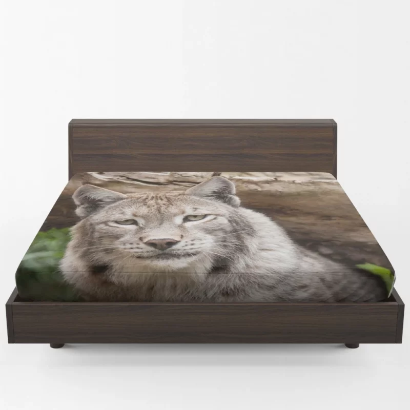 Lynx Enigmatic Beauty Wilderness Charm Fitted Sheet