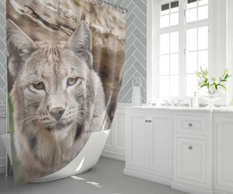 Lynx Enigmatic Beauty Wilderness Charm Shower Curtain 1