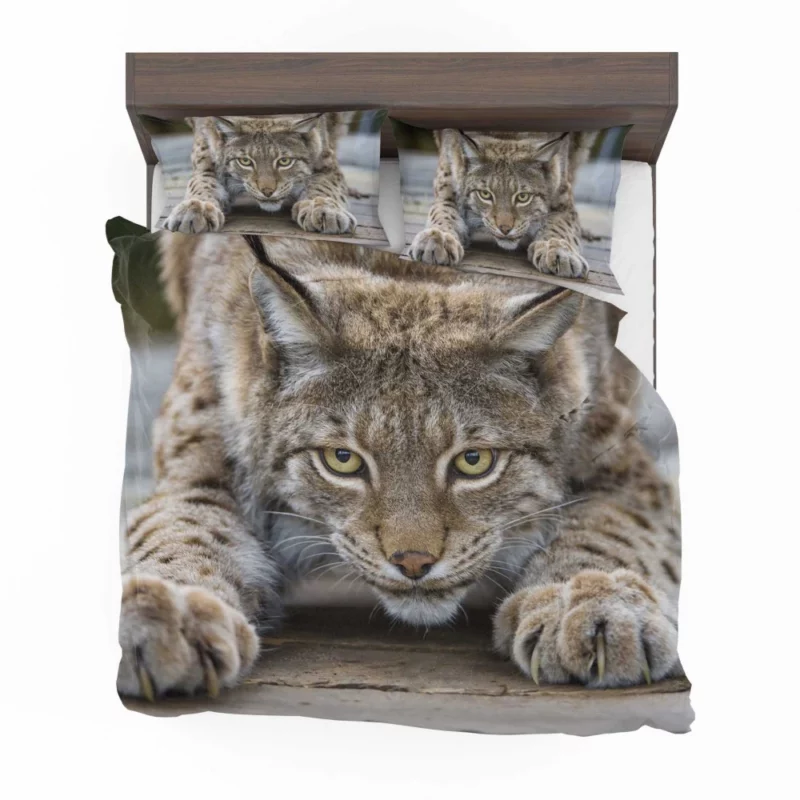 Lynx Enigmatic Gaze Wilderness Majesty Bedding Set 1