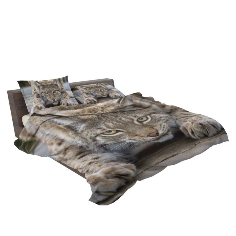 Lynx Enigmatic Gaze Wilderness Majesty Bedding Set 2