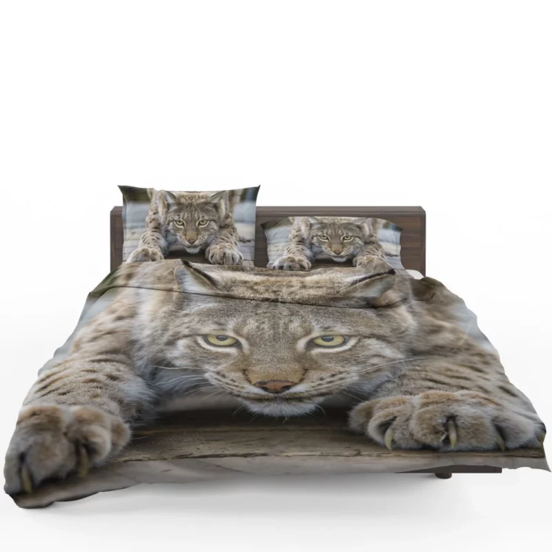 Lynx Enigmatic Gaze Wilderness Majesty Bedding Set