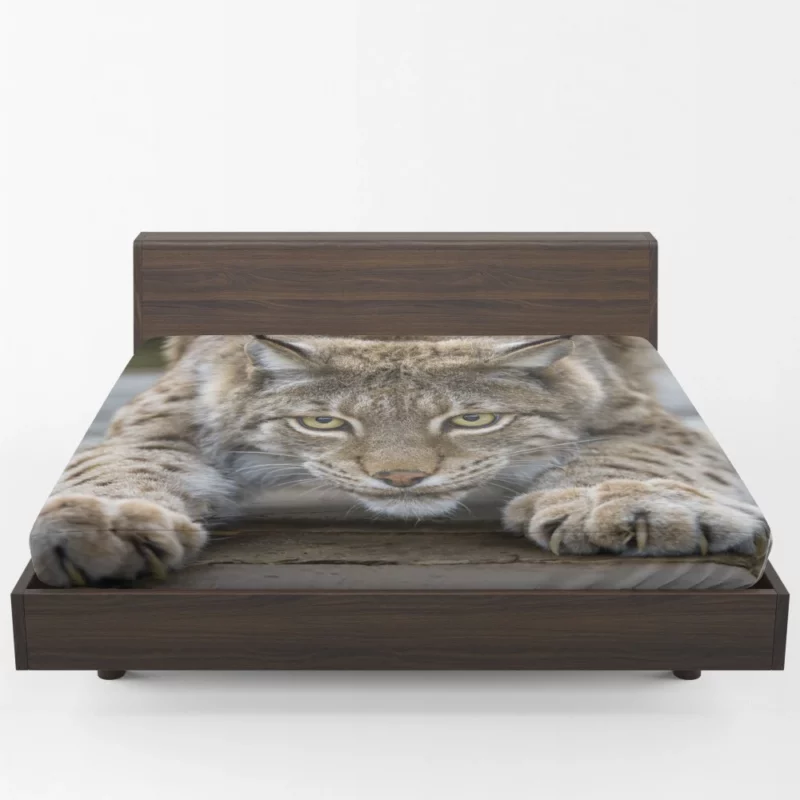 Lynx Enigmatic Gaze Wilderness Majesty Fitted Sheet