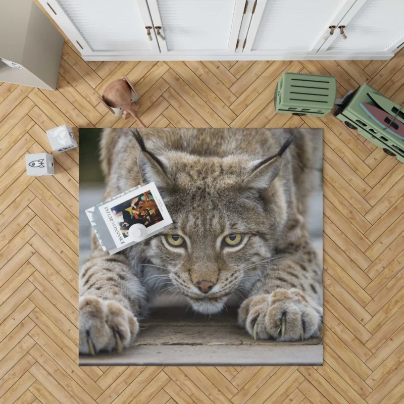 Lynx Enigmatic Gaze Wilderness Majesty Rug