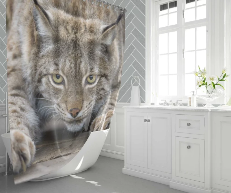 Lynx Enigmatic Gaze Wilderness Majesty Shower Curtain 1