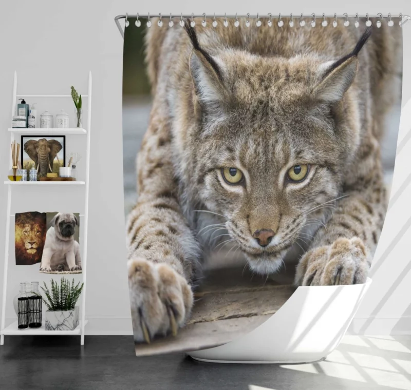 Lynx Enigmatic Gaze Wilderness Majesty Shower Curtain